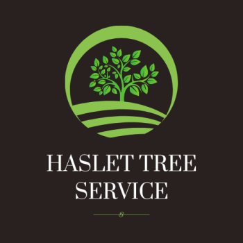 Haslet Tree Service Logo